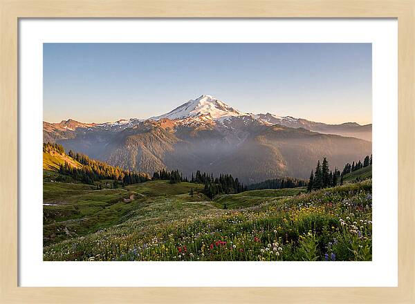 Mount Baker Majestic Sunrise Over Meadows
