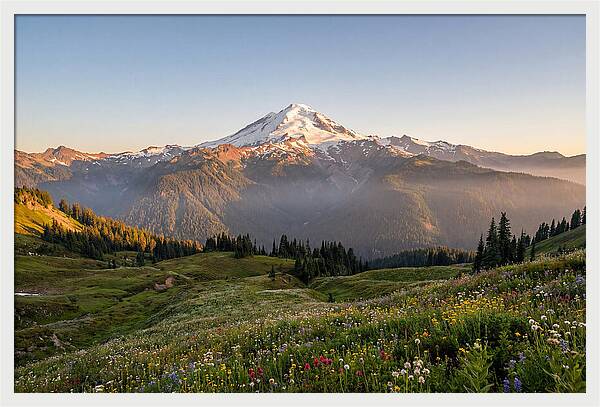 Mount Baker Majestic Sunrise Over Meadows