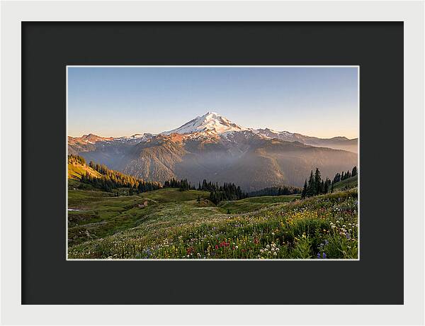 Mount Baker Majestic Sunrise Over Meadows