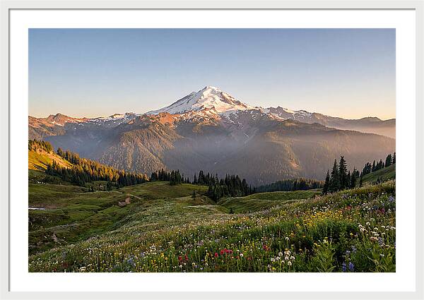 Mount Baker Majestic Sunrise Over Meadows