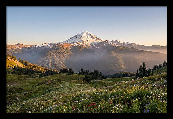 Mount Baker Majestic Sunrise Over Meadows