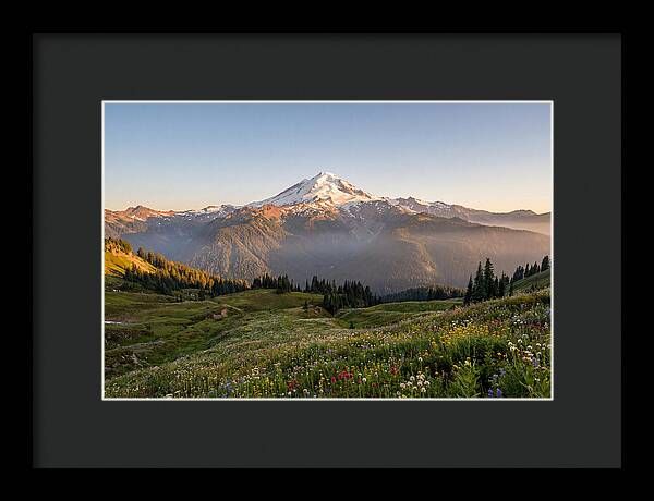 Mount Baker Majestic Sunrise Over Meadows