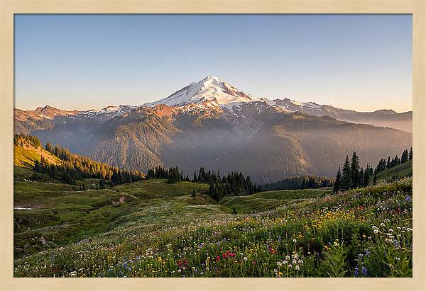 Mount Baker Majestic Sunrise Over Meadows