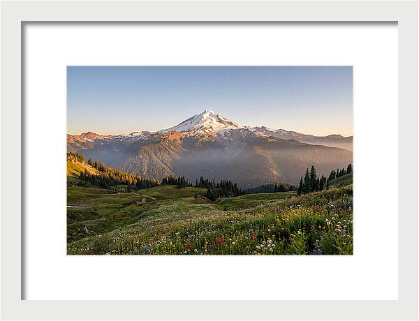 Mount Baker Majestic Sunrise Over Meadows