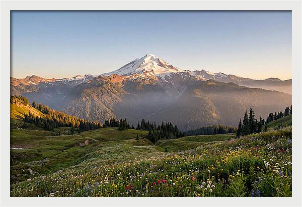 Mount Baker Majestic Sunrise Over Meadows
