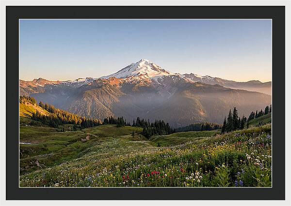 Mount Baker Majestic Sunrise Over Meadows