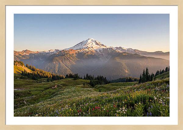 Mount Baker Majestic Sunrise Over Meadows