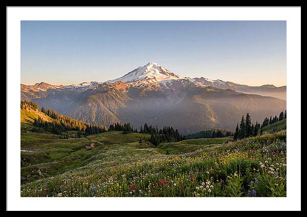 Mount Baker Majestic Sunrise Over Meadows