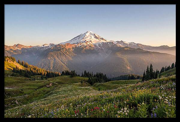 Mount Baker Majestic Sunrise Over Meadows