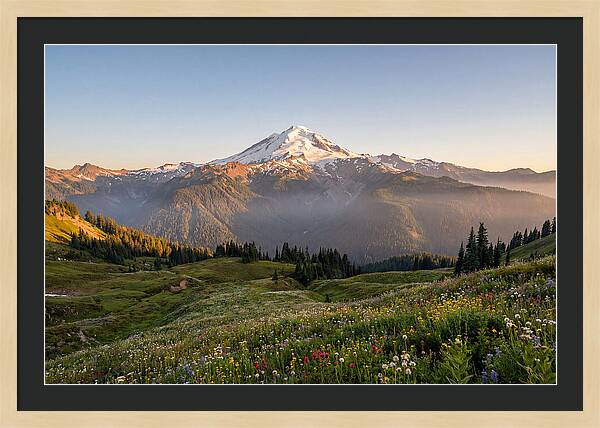 Mount Baker Majestic Sunrise Over Meadows