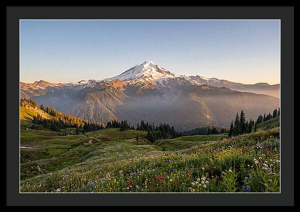 Mount Baker Majestic Sunrise Over Meadows