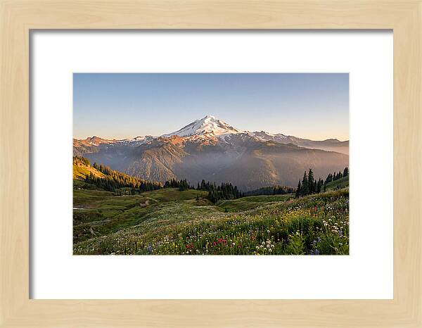 Mount Baker Majestic Sunrise Over Meadows