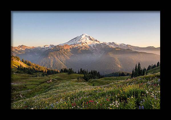 Mount Baker Majestic Sunrise Over Meadows