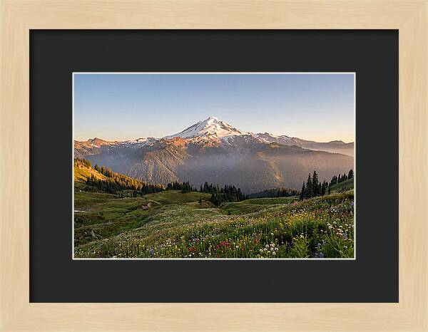 Mount Baker Majestic Sunrise Over Meadows