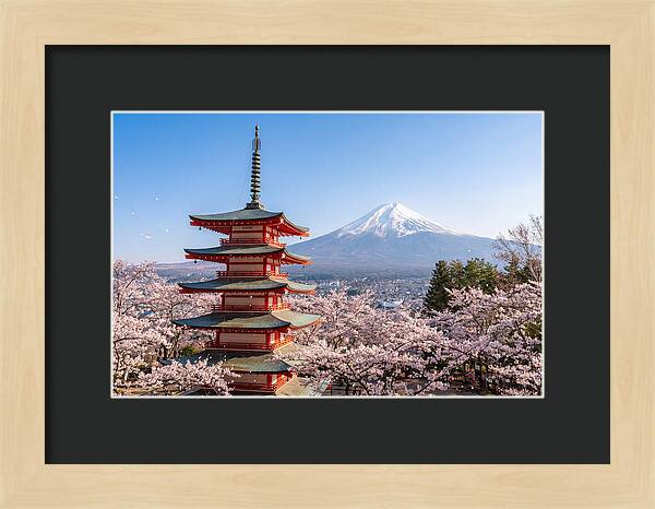 Mount Fuji Across Chureito Pagoda