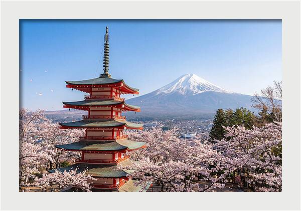 Mount Fuji Across Chureito Pagoda