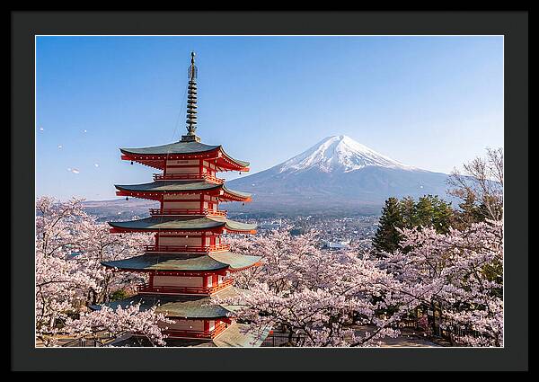 Mount Fuji Across Chureito Pagoda