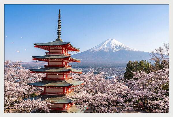 Mount Fuji Across Chureito Pagoda