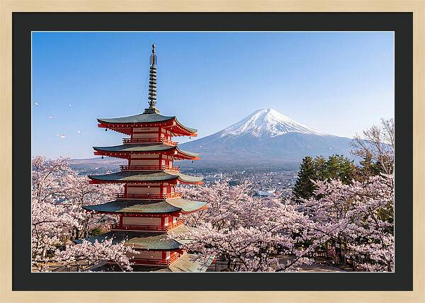 Mount Fuji Across Chureito Pagoda