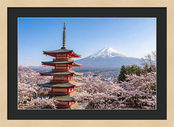 Mount Fuji Across Chureito Pagoda