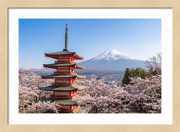 Mount Fuji Across Chureito Pagoda