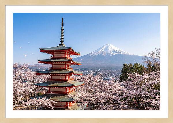 Mount Fuji Across Chureito Pagoda