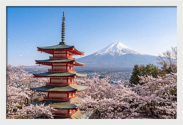 Mount Fuji Across Chureito Pagoda