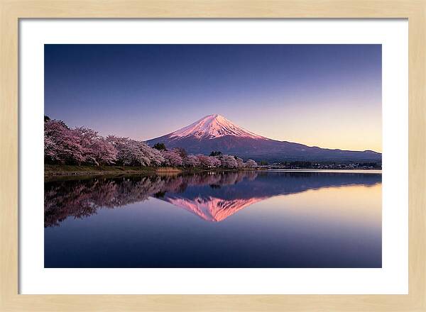 Mount Fuji At Sunrise