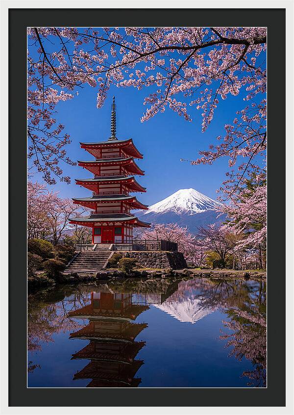 Mount Fuji Reflected In Chureito Pagoda