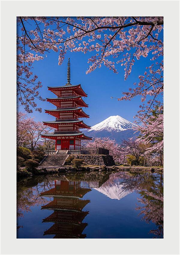 Mount Fuji Reflected In Chureito Pagoda