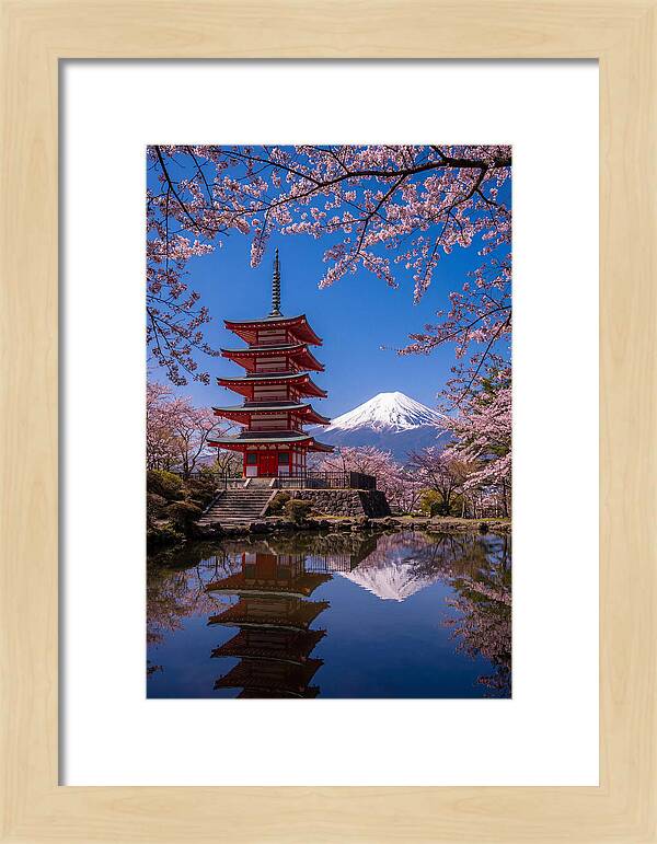 Mount Fuji Reflected In Chureito Pagoda