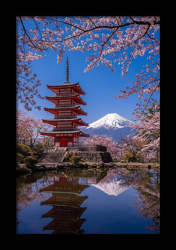 Mount Fuji Reflected In Chureito Pagoda