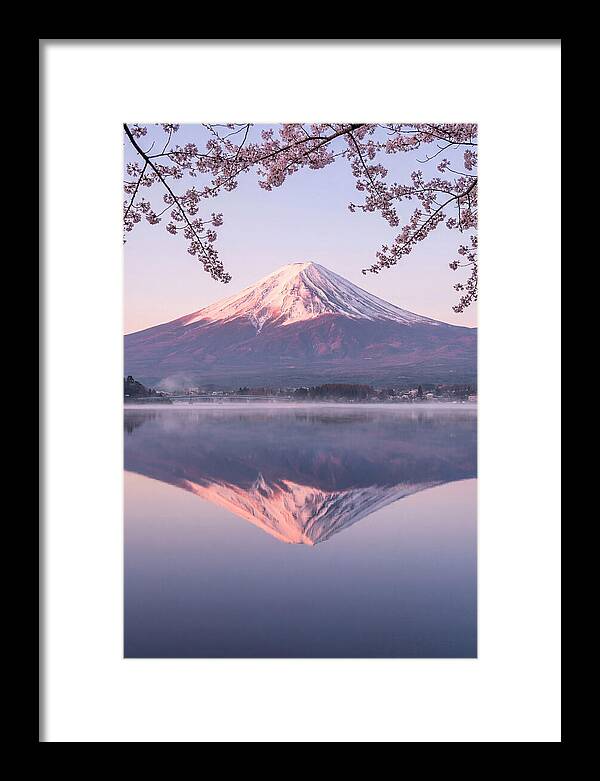 Mount Fuji Reflected In Dawn