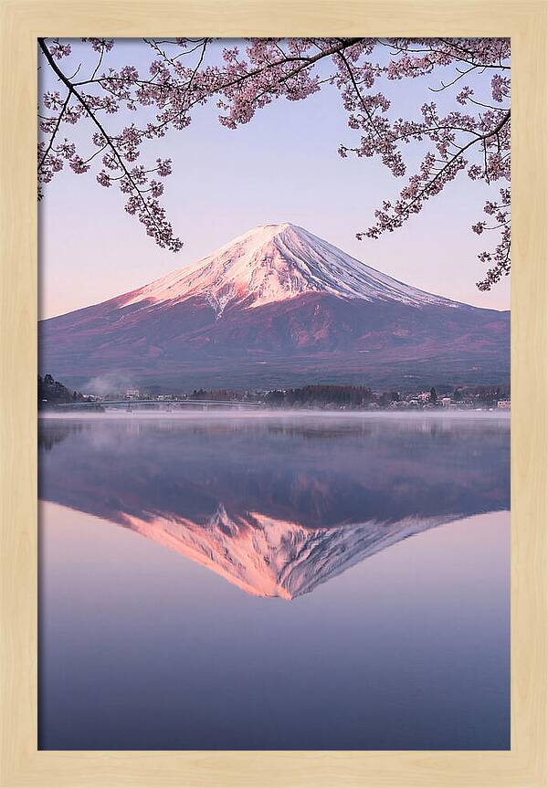 Mount Fuji Reflected In Dawn