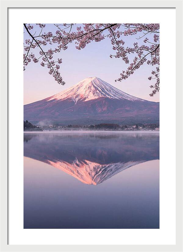 Mount Fuji Reflected In Dawn