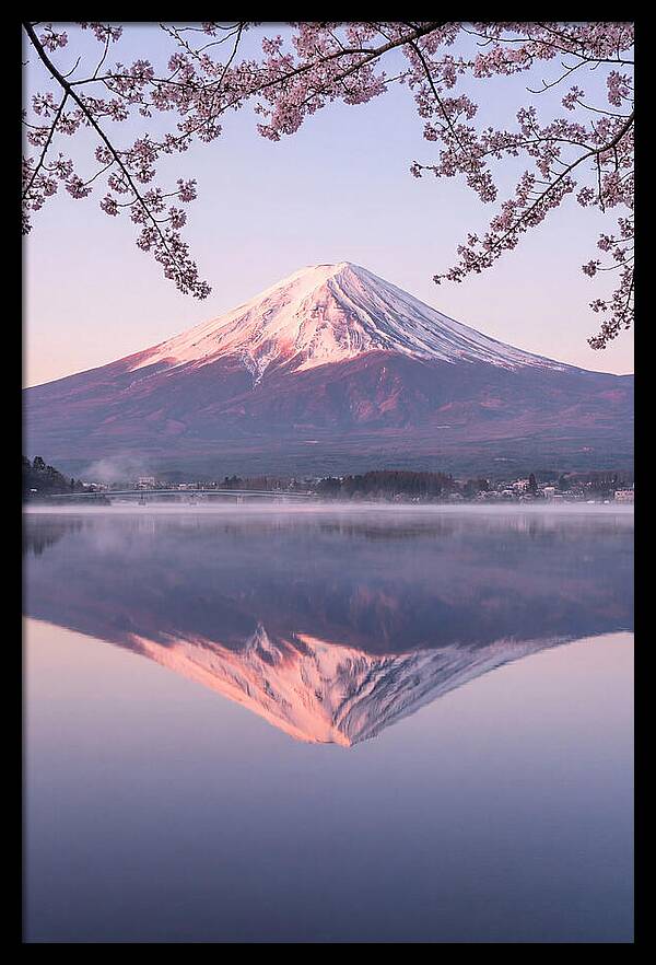 Mount Fuji Reflected In Dawn