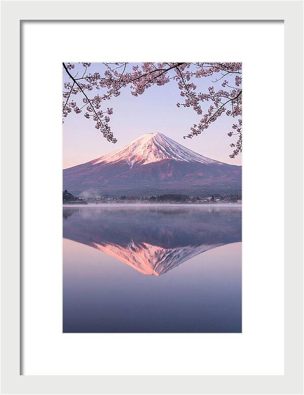 Mount Fuji Reflected In Dawn