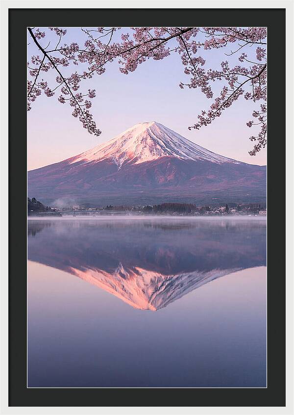 Mount Fuji Reflected In Dawn