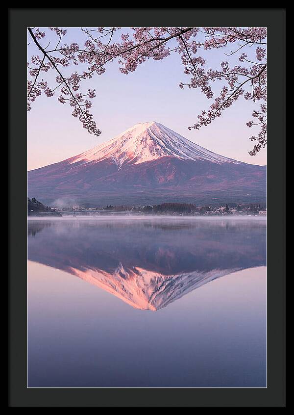 Mount Fuji Reflected In Dawn