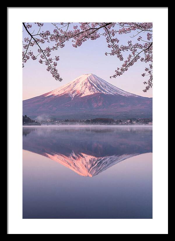 Mount Fuji Reflected In Dawn