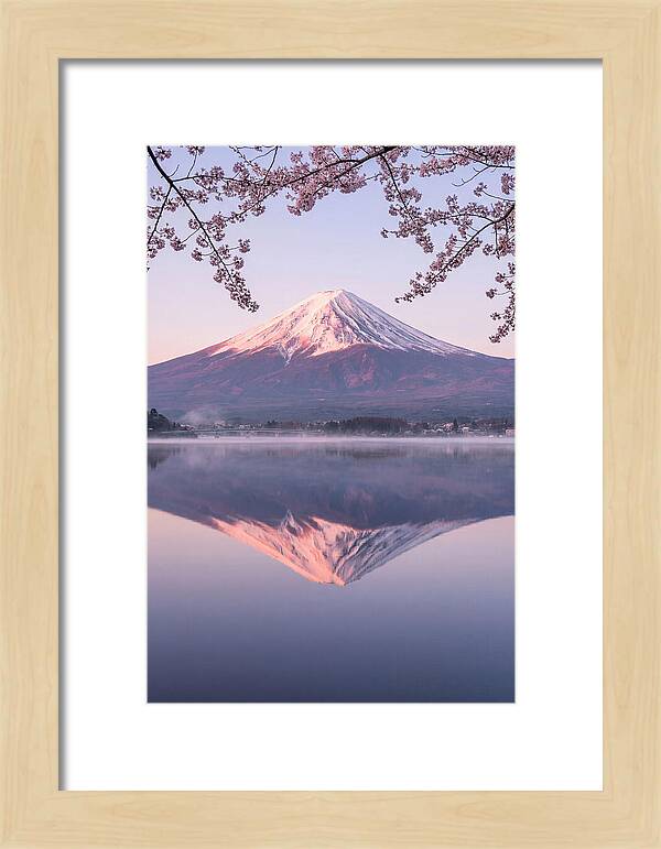 Mount Fuji Reflected In Dawn