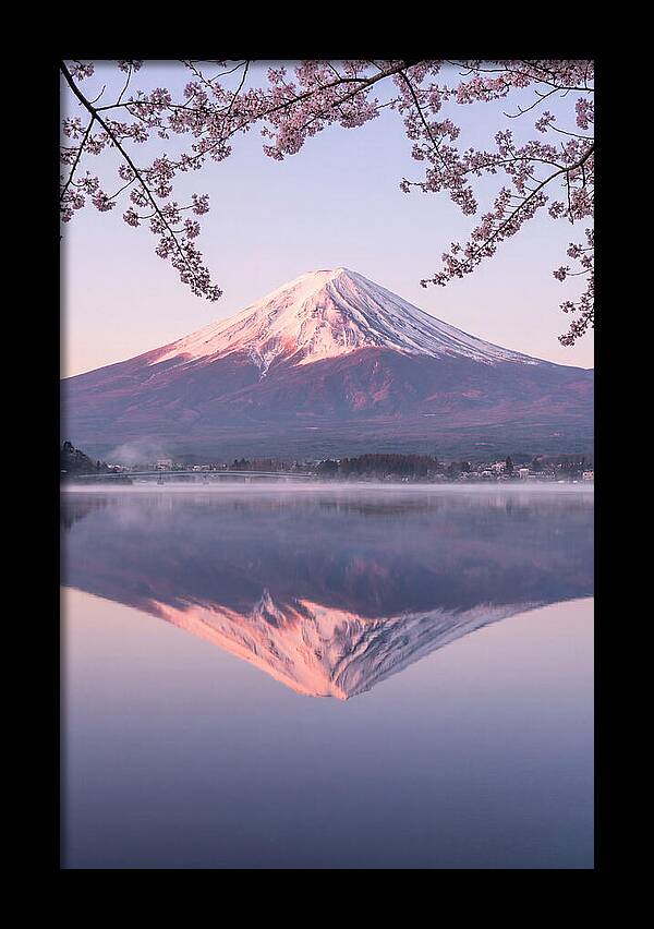 Mount Fuji Reflected In Dawn