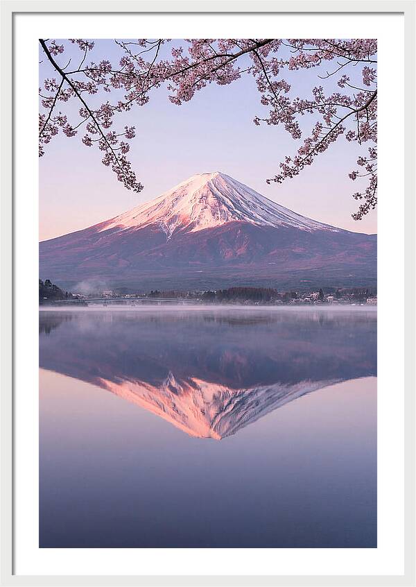 Mount Fuji Reflected In Dawn