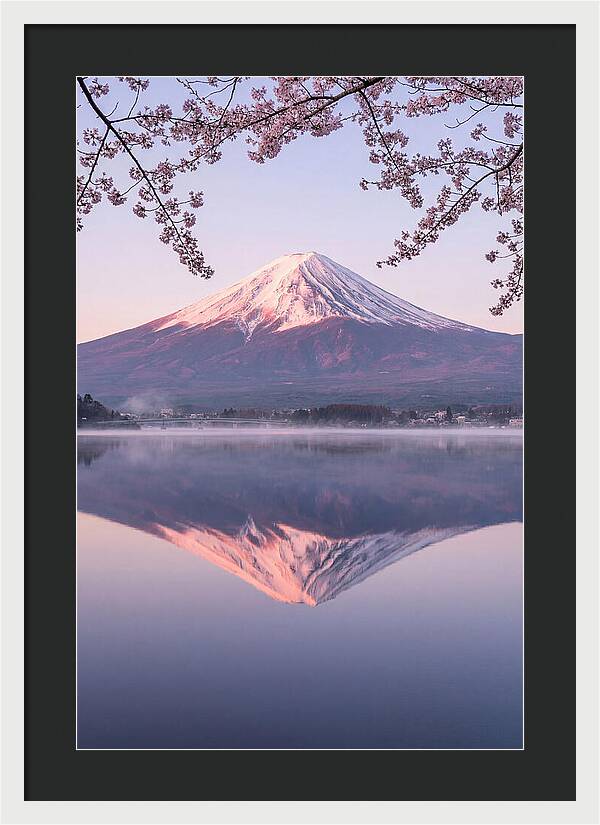 Mount Fuji Reflected In Dawn