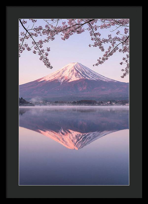 Mount Fuji Reflected In Dawn