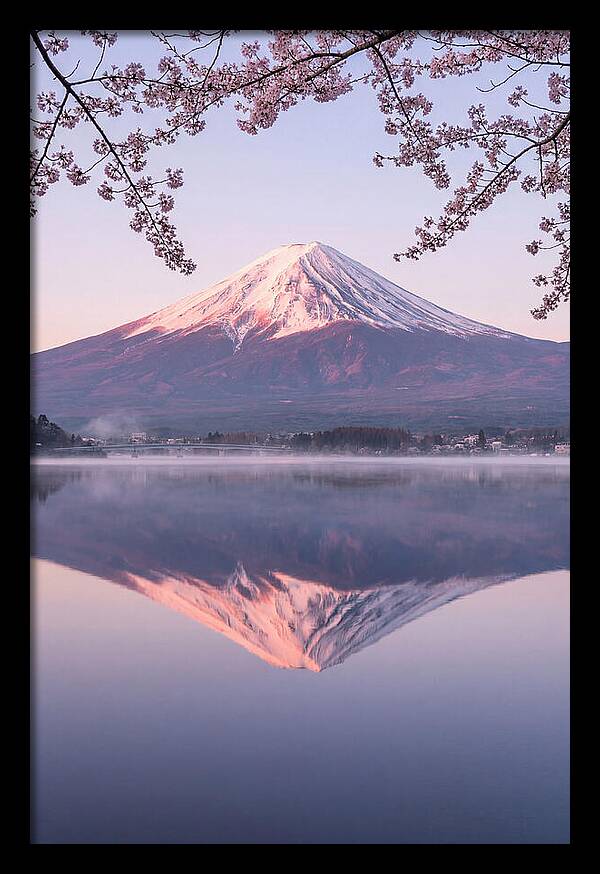 Mount Fuji Reflected In Dawn