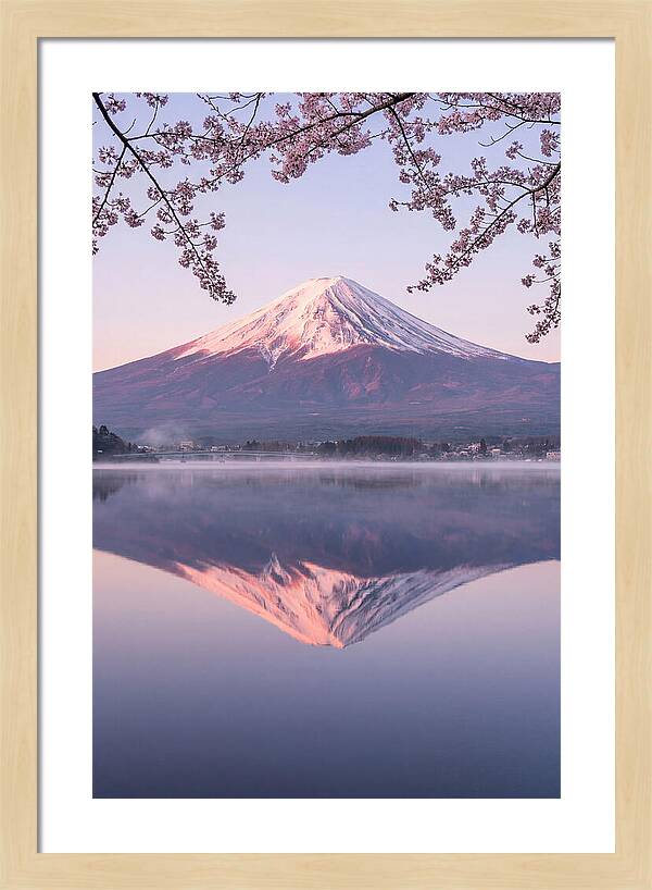 Mount Fuji Reflected In Dawn