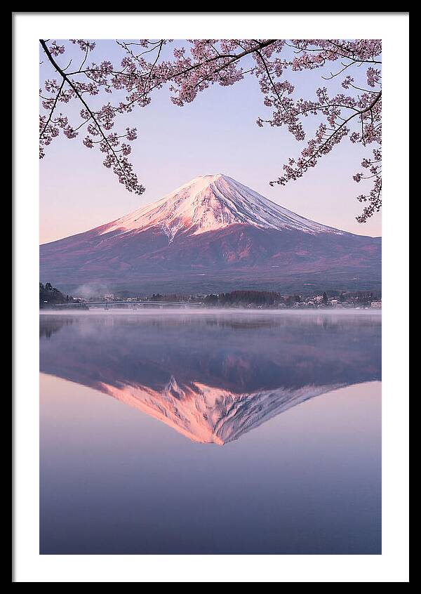 Mount Fuji Reflected In Dawn