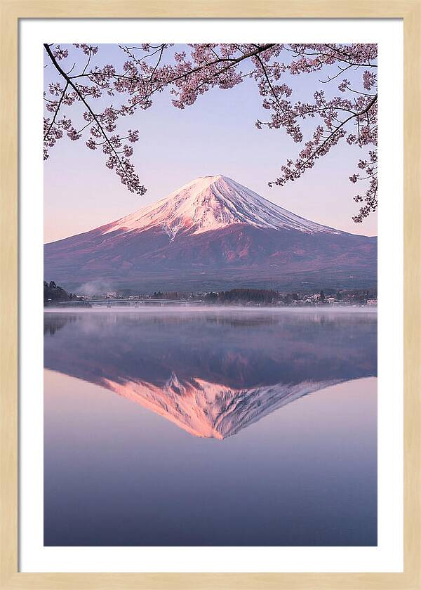 Mount Fuji Reflected In Dawn