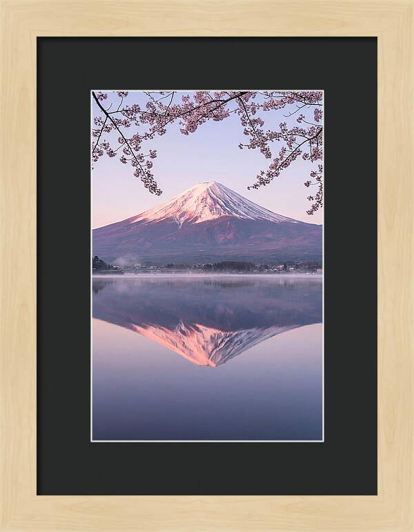 Mount Fuji Reflected In Dawn